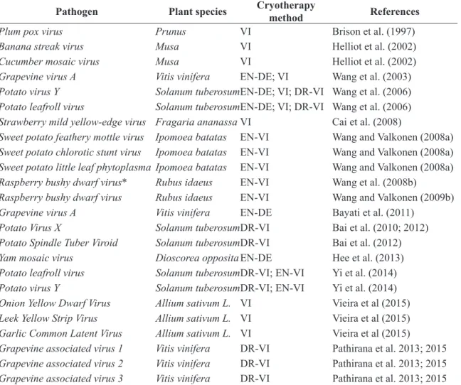 TABLE 1 -  Efficiency of cryotherapy methods for eradication of viruses in plant species.