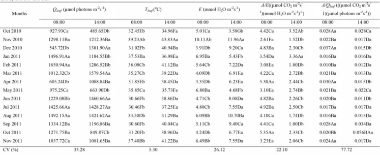 TABLE 2 - Radiation incident on the leaf surface (Qleaf), leaf temperature (Tleaf), transpiration rate (E), water use efficiency (A/E), and photochemical efficiency  of photosynthesis (A/Qleaf), evaluated on the third leaf of banana trees type ‘Prata’ in t