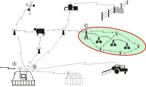 Figura 5 - Wireless Farm (Vellidis, 2007)