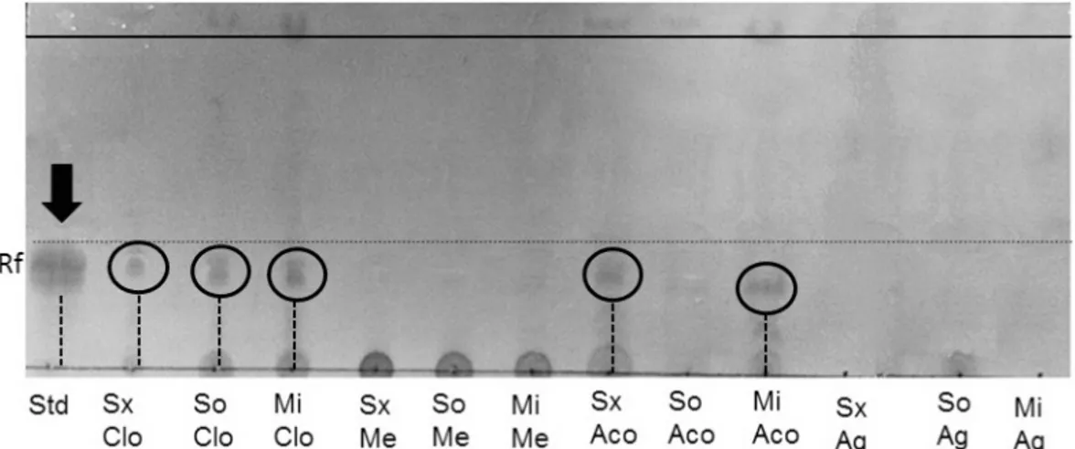 TABLE 1- Regression (R 2 ) and extinction coefficients between extractable polyphenols (EPPs), antioxidant  capacity by DPPH, ABTS and FRAP assays in extracts of soursop pulp.