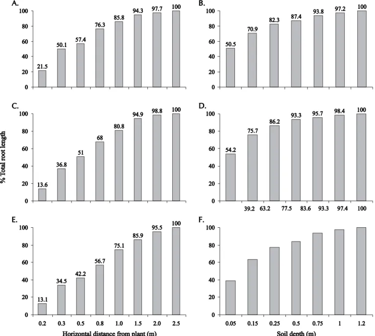 Figure 4. Percentage of total root distribution of ‘Tahiti’ Acid Lemon in a profile longitudinal and orthogonal to plant row for one (A, B), two (C, D) and three-day irrigation intervals (E, F)