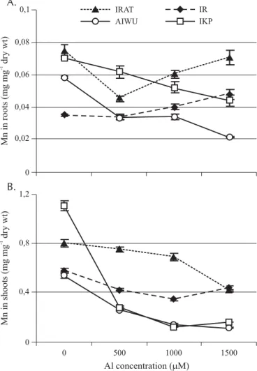 Figure 4. Effect of Al stress on Mn content in roots (A) and shoots (B) of two Al resistant (IRAT and IR) and two Al sensitive (Aiwu and IKP) rice cultivars