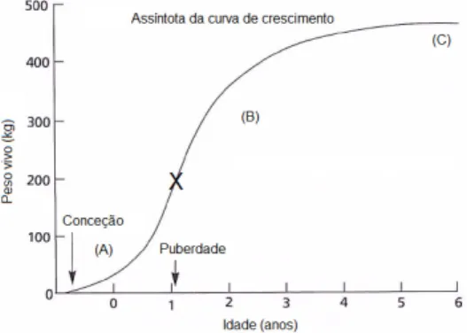 Figura  1.  Curva  de  natureza  sigmoide  que  pretende  representar  a  curva  típica  de  crescimento  de  uma  vaca  leiteira  (A  –  crescimento  inicial,  fase  aceleradora  da  curva  de  crescimento  até  à  puberdade;  B  –  fase desaceleradora da