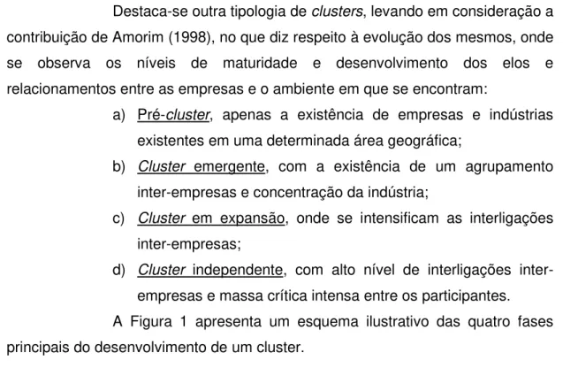 Figura 1. Evolução do Processo de Formação de um Cluster.