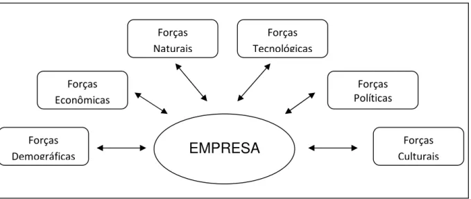 Figura 1 – Principais Forças do Macroambiente da Empresa 