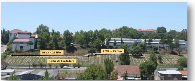 Fig. 3: Esquema do plano da instalação da pastagem permanente de sequeiro mediterrânico