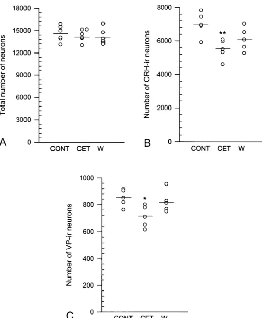 Fig. 2. Graphic representation of the estimates of neuron numbers obtained from the PVNmp of control (CONT), ethanol-treated (CET) and withdrawn (W) rats