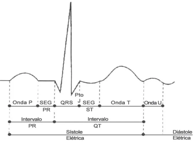Figura 2.7 - Registo típico de um traçado eletrocardiográfico obtido através da derivação DII [18]