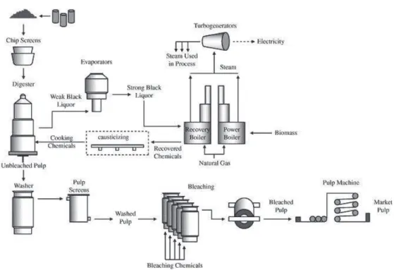 Figura 10 - Diagrama do processo de fabrico de pasta branqueada, a partir do processo kraft