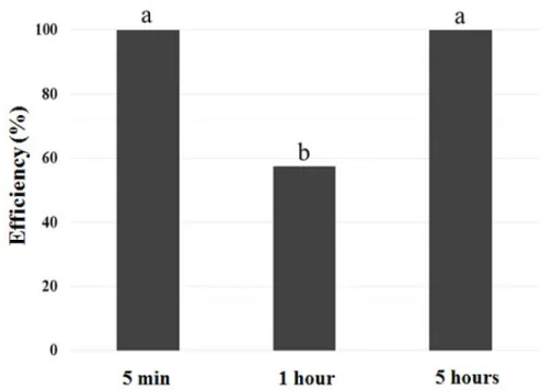 Figure 1-  Percentage of mortality (Efficiency) of  Brevipalpus yothersi mites 3 days after application (3DAT) in  treatments with the adjuvant propionic acid for different waiting times of artificial rainfall