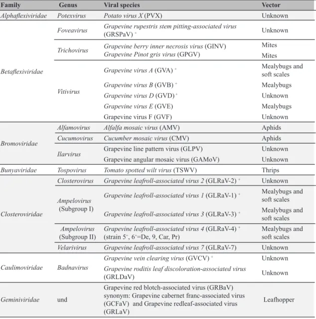 TABLE 1- Viruses, viroids and satellite RNas currently reported infecting grapevines (Vitis spp.) worldwide  and its insect or nematode vectors.