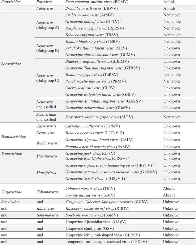 TABLE 1 - Viruses, viroids and satellite RNas currently reported infecting grapevines (Vitis spp.) worldwide  and its insect or nematode vectors.