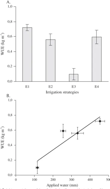 Figure 5.  Water use efficiency (WUE) (A) for the upland cotton cv. CNPA-7H grown under the four irrigation strategies under greenhouse conditions and the ratio between the applied water and the variable (B)