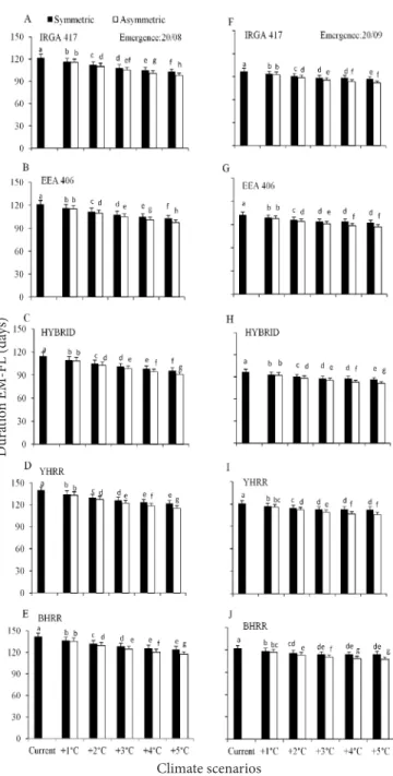 Figure 2. Simulated duration of the crop emergence  to flag leaf appearance (EM-FL) phase of three  cultivated rice genotypes (IRGA 417, EEA 406 and  HYBRID) and two weedy red rice biotypes  (yellow-hull red rice- YHRR, and black- (yellow-hull red rice- BH