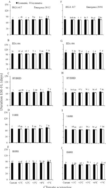 Figure 3. Simulated duration of the crop emergence to  flag leaf appearance (EM-FL) phase of three cultivated  rice genotypes (IRGA 417, EEA 406 and HYBRID)  and two weedy red rice biotypes (yellow-hull red  rice- YHRR, and black- hull red rice- BHRR) in c