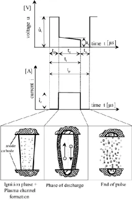 Figura 9 – Fases de uma descarga elétrica (Amorim and Weingaertner 2005). 