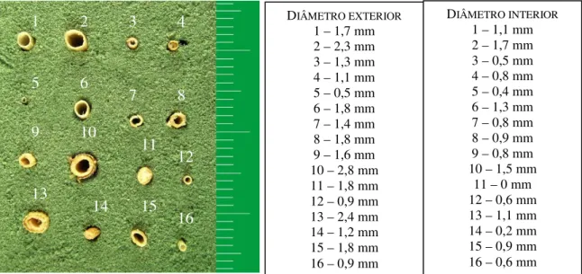 figura 3-4 – macrofotografia de uma amostra de feno respectivos valores de diâmetro interior e  exterior