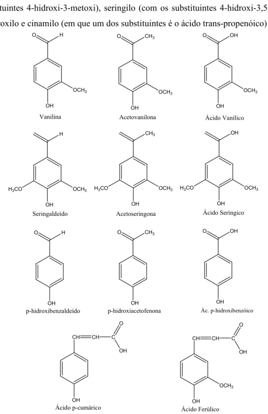 Figura 1 – Compostos fenólicos obtidos da degradação oxidativa da lenhina