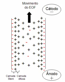Figura 3 - Representação esquemática da dupla camada eléctrica 