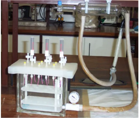 Figura 4 – Sistema de vácuo utilizado na extracção em fase sólida