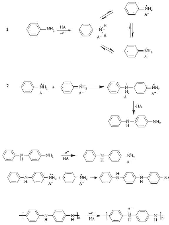 Figura 2.9. Electropolimerização da anilina: 1 - oxidação do monómero, 2 - acopolamento dos  radicais, 3 - propagação da cadeia, 4 - oxidação e dopagem do polímero (Adaptado da Ref