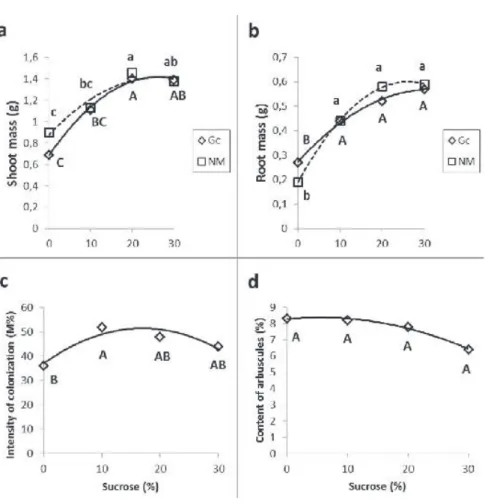 FIGURE 1- Response to concentration of sucrose in the multiplication medium by pineapple plantlets  inoculated with  Rhizophagus clarus (Gc) ou uninoculated (NM) a, shoot biomass of inoculated  (Y (Gc) = -0,0011x 2  + 0,0561x + 0,6815; r 2  = 0,9957) and u