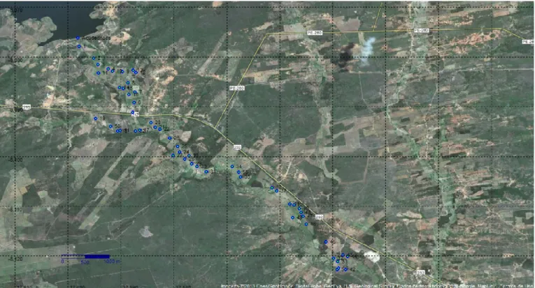 Figura 1. Imagem de satélite com a localização dos pontos de amostragem (em azul) no Perímetro Irrigado de  Custódia, PE