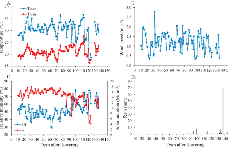 Figure 2. Maximum temperature (Tmax) and minimum temperature (Tmin) (A), mean wind speed (B), mean relative  humidity (RH) and solar radiation (Sr) (C) and rainfall (D) during second evaluation cycle in year 2011 in Ceraíma,  Guanambi, Bahia, Brazil