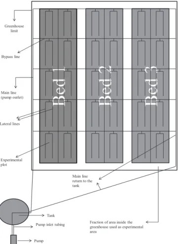 Figure 1. Layout with the spatial disposition of beds,  experimental plots and irrigation system
