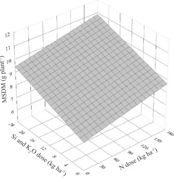 Figure 2. Marketable shoot dry matter (MSDM) as a function  of doses of N and Si/ K 2 O