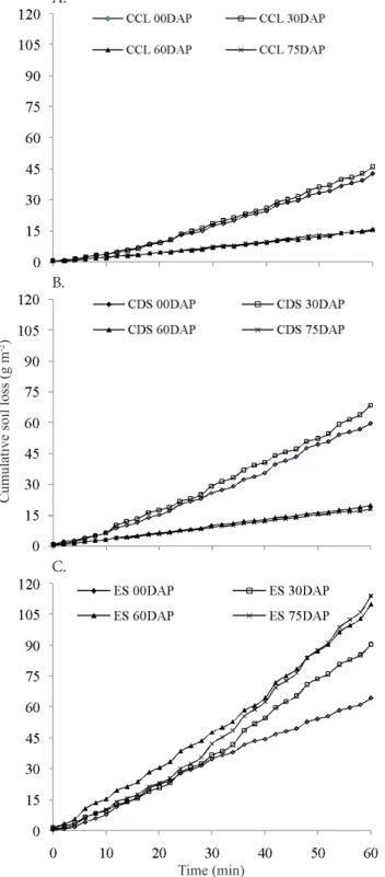 Figure 1 . Evolution of soil losses in the systems CCL (A),  CDS (B) and ES (C) during 60 min of simulated rain for  the four corn development stages: 0, 30, 60 and 75 days  after planting (DAP) 