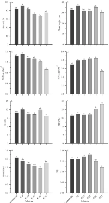 Figure 1. Survival (A), shoot height - SH (B), shoot dry mass  - SDM (C) and root dry mass - RDM (D) and the ratios shoot  height/collar diameter - SH/CD (E), SH/SDM (F), SDM/RDM  (G) and Dickson quality index - DQI (H) of eucalyptus  rooted cuttings grown