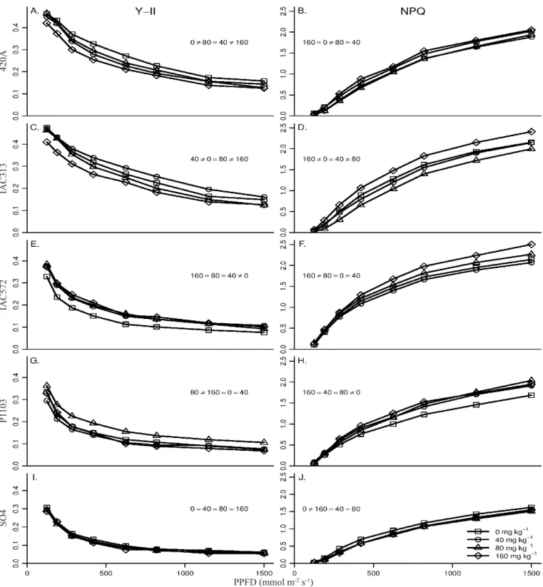 Figure 1. Effective quantum yield of PSII (Y-II) (A, C, E, G, I) and non-photochemical quenching (NPQ) (B, D, F, H, J)  as a function of the photosynthetic photon flux density (PPFD) in the grapevine rootstocks 420A (A, B), IAC313 (C, D),  IAC572 (E, F), P