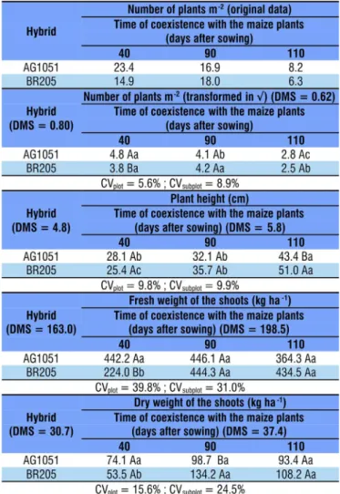 Table 1 . Mean number and fresh and dry weights of the  shoots of sabiá plants intercropped with maize hybrids for  three different time periods