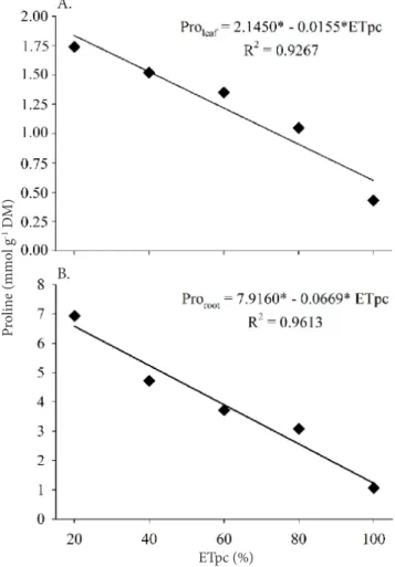 Figure 2. Contents of free proline in leaves - Pro leaf  (A) and  roots - Pro root  (B) of seedlings of coconut palm as a function  of different water deficit levels (% ETpc)