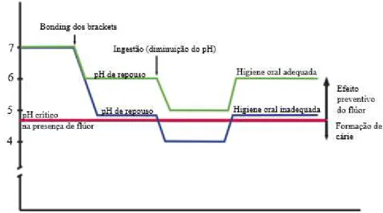 Figura 3 - Curva de Stephan em pacientes ortodônticos com uma boa ou má higiene oral (adaptado de  Øgaard, 2008)