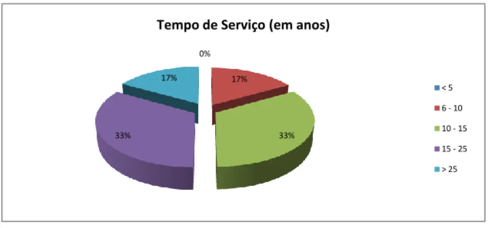 Figura 6: Distribuição dos PTT, de acordo com o seu tempo de serviço profissional