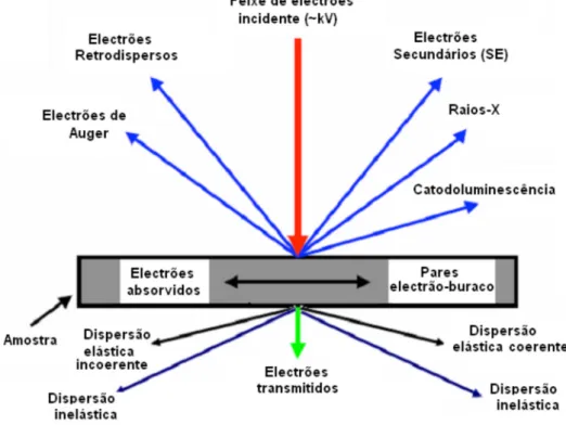 Figura 8: Fenómenos resultantes da interação de eletrões muito energéticos com a matéria  (imagem adaptada de [49]) 
