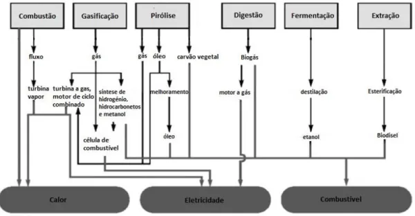 Figura 2- Representação esquemática das diversas técnicas de conversão energética da  biomassa (adaptado de Saidur et al