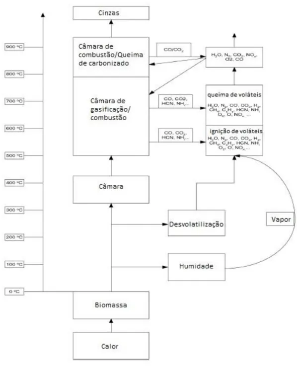 Figura 3- Representação esquemática do processo de combustão de biomassa (adaptado de  Khan et al