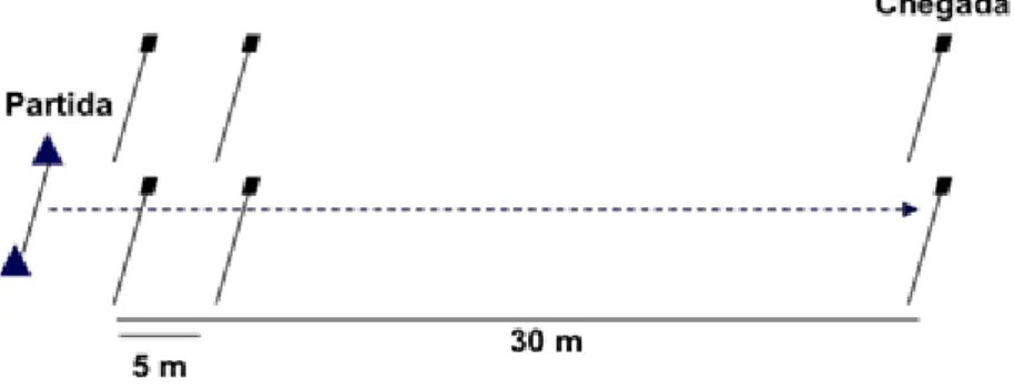 Figura 2. Representação gráfica do teste de velocidade aos 5 e 30 metros. 