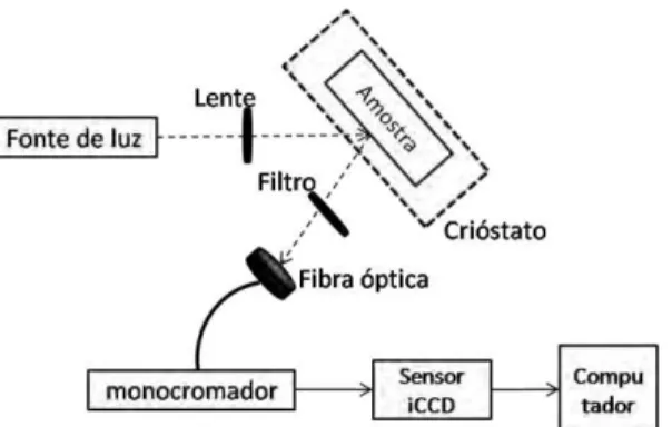 Figura 12 ʹ Esquema experimental utilizado para as medições de PL. 