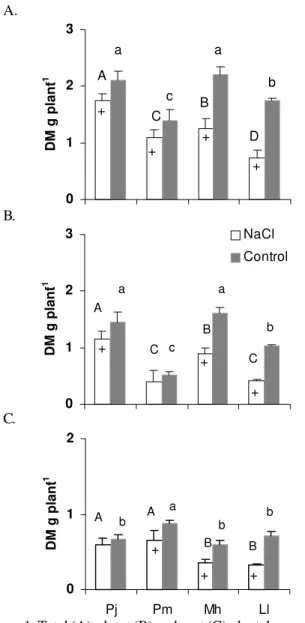 Figure 1. Total (A), shoot (B) and root (C) plant dry mass (DM) of  Prosopis juliflora (Pj), Piptadenia macrocarpa (Pm), Mimosa hostilis (Mh) and Leucaena leucocephala (Ll) grown either in absence or presence of 100 mol m -3  of NaCl