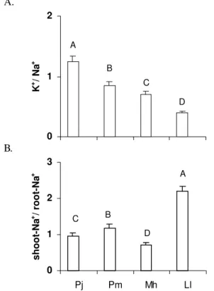 Figure 3. K +  to Na +  ratios of shoot (A) and Na +  shoot to root ratios (B) of Prosopis juliflora (Pj), Piptadenia macrocarpa (Pm), Mimosa hostilis (Mh) and Leucaena leucocephala (Ll) grown in 100 mol m -3  of NaCl