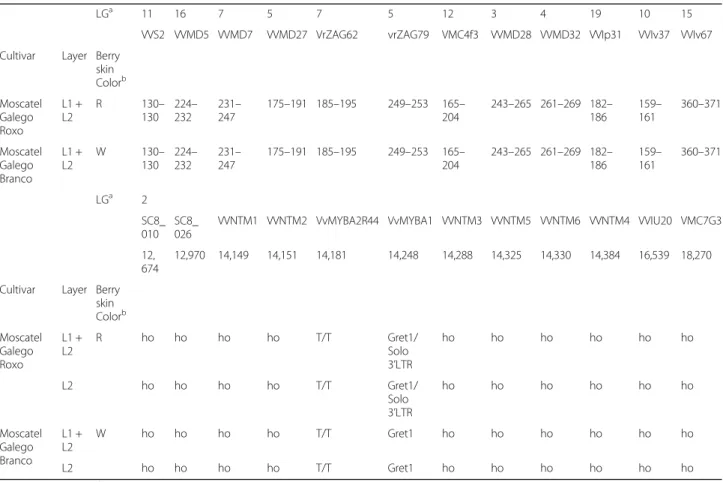 Table 1 Genetic profiles of cv. ‘ Moscatel Galego Branco ’ and its red-skinned revertant variant cv