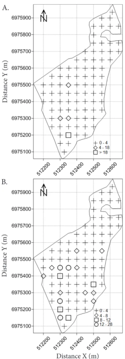 Figure 2.  Indicative maps of weed density per sampling  point. ‘Maria-mole’ (A) and Common sowthistle (B)
