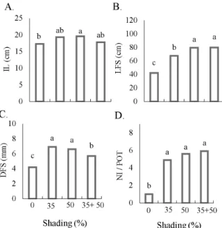 Figure 3. Effect of shaded environments on inflorescence  length (A), length of flower stem (B),  diameter of flower  stem (C) and number of inflorescences per pot (D) of H