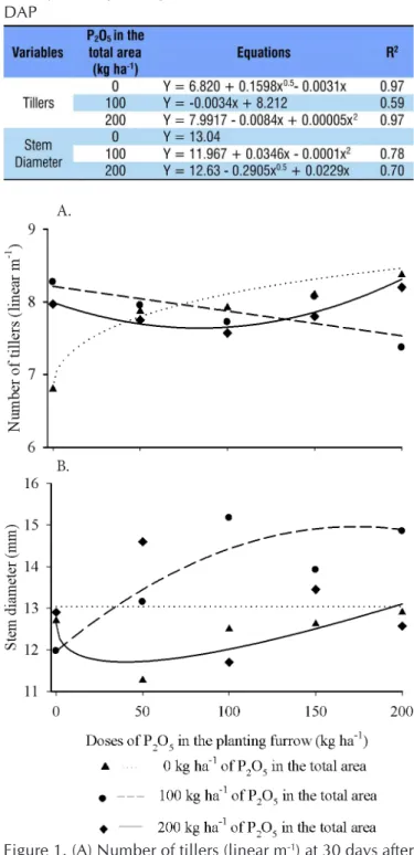 Table 3. Regression equations for the number of tillers at  30 days after planting (DAP) and stem diameter at 120  DAP