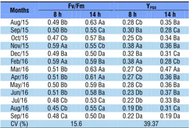 Table 1. Quantum efficiency (Fv/Fm) and quantum yield of  photosystem II (Y PSII ) in ‘Pérola’ pineapple plants subjected  to different irrigation depths with saline water along the  months, at 8 and 14 h Months Fv/Fm Y PSII 8 h 14 h 8 h 14 h Aug/15 0.49 B