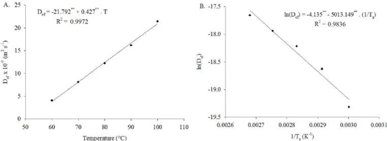 Table  3.  Midilli model  coefficients and  adjusted  equations  as  a  function  of drying  air  temperature  for  ‘Cabacinha’ 